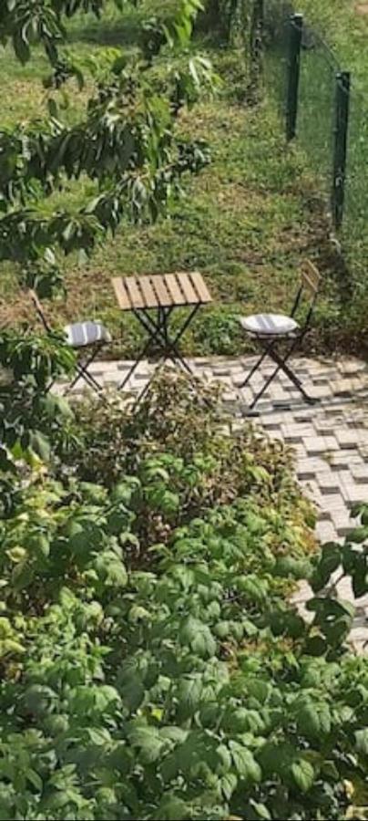 Lovely Appartment With Private Patio And Private Entrance In Luxembourg 60M2 Saeul 外观 照片